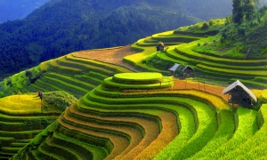 Sapa Medium Trekking 03 Nights & 03 Days (By bus)