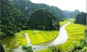 Hoa Lu - Tam Coc 01 Day trip